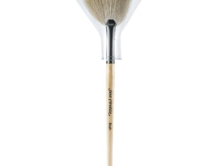 White Fan Brush - - For Cheap