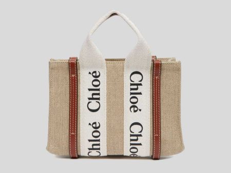 CHLOE Mini Woody Tote Bag White Brown RS-CHC22AP237I2690U Online Hot Sale