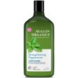 AVALON - Strengthening Peppermint Conditioner - 11 oz. (312 g) Online Sale